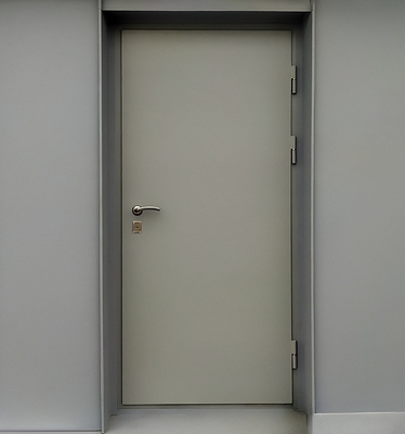 Глухая одностворчатая дверь Глухая одностворчатая дверь