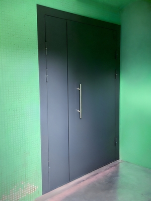 Серая полуторная дверь Серая полуторная дверь